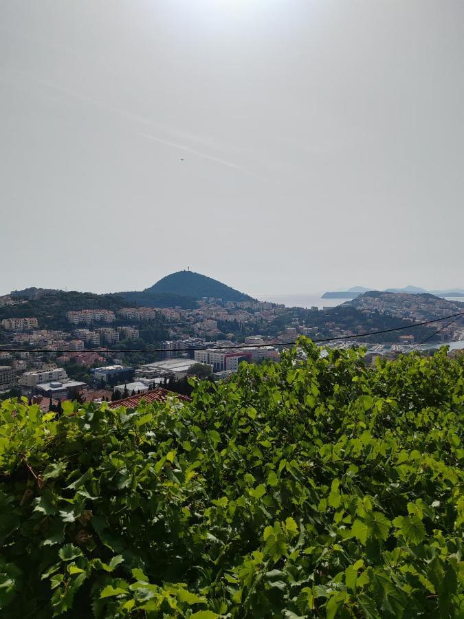 Lägenhet Mediterranean Vista Dubrovnik